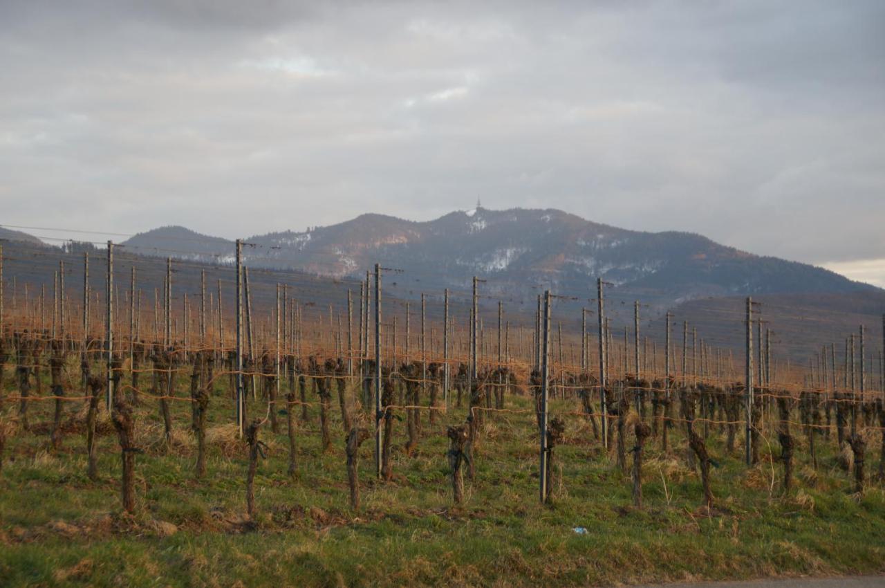 Ferienwohnung Castellberg ไฮเทอร์สไฮม์ ภายนอก รูปภาพ