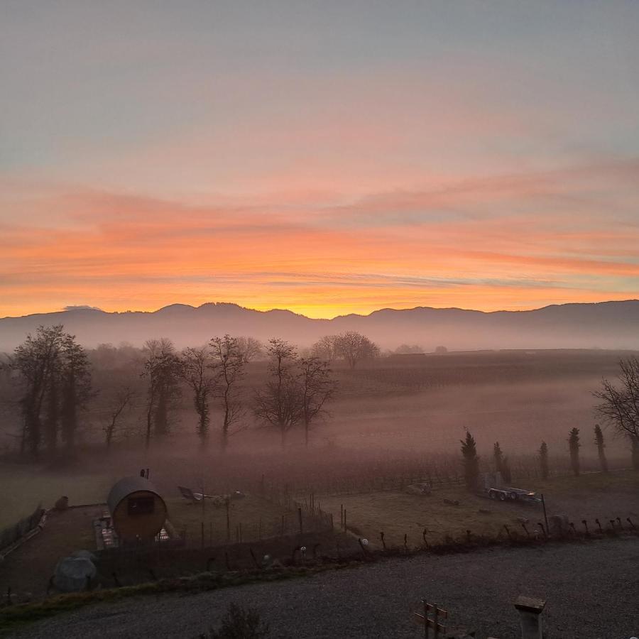 Ferienwohnung Castellberg ไฮเทอร์สไฮม์ ภายนอก รูปภาพ