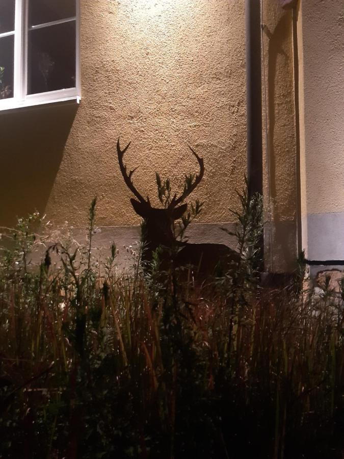 Ferienwohnung Castellberg ไฮเทอร์สไฮม์ ภายนอก รูปภาพ