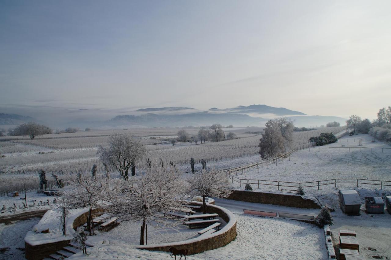 Ferienwohnung Castellberg ไฮเทอร์สไฮม์ ภายนอก รูปภาพ